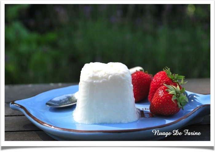 Recette Fromage blanc - Seb